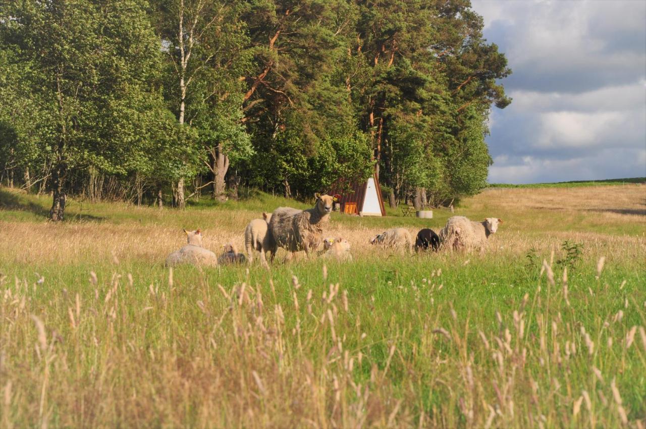 Sandfallet Glamping Laholm Exterior foto