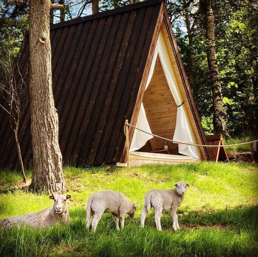 Sandfallet Glamping Laholm Exterior foto